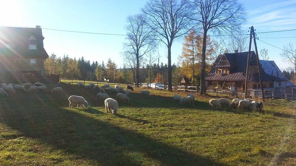 Pompelowka - Chata Na Glubalowce Villa Zakopane